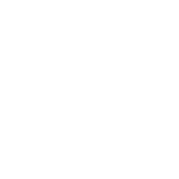 Frontend Expertise